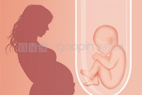 http://suzhou.hy-ly.com/post/208.html|苏州人工试管