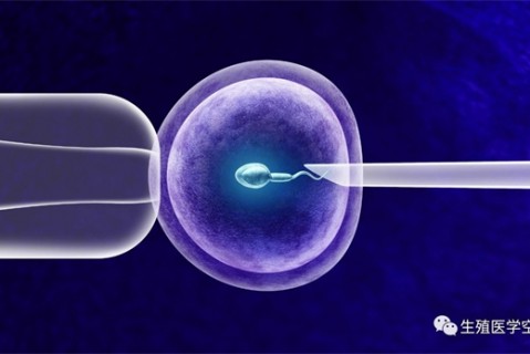 女人苏州代生孩子的最佳年龄段 一辈子生几个孩子最好